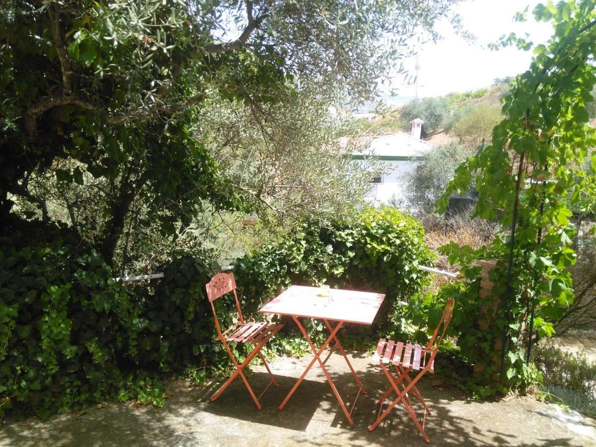 Casa La Liebrecilla Guest House Riogordo ภายนอก รูปภาพ