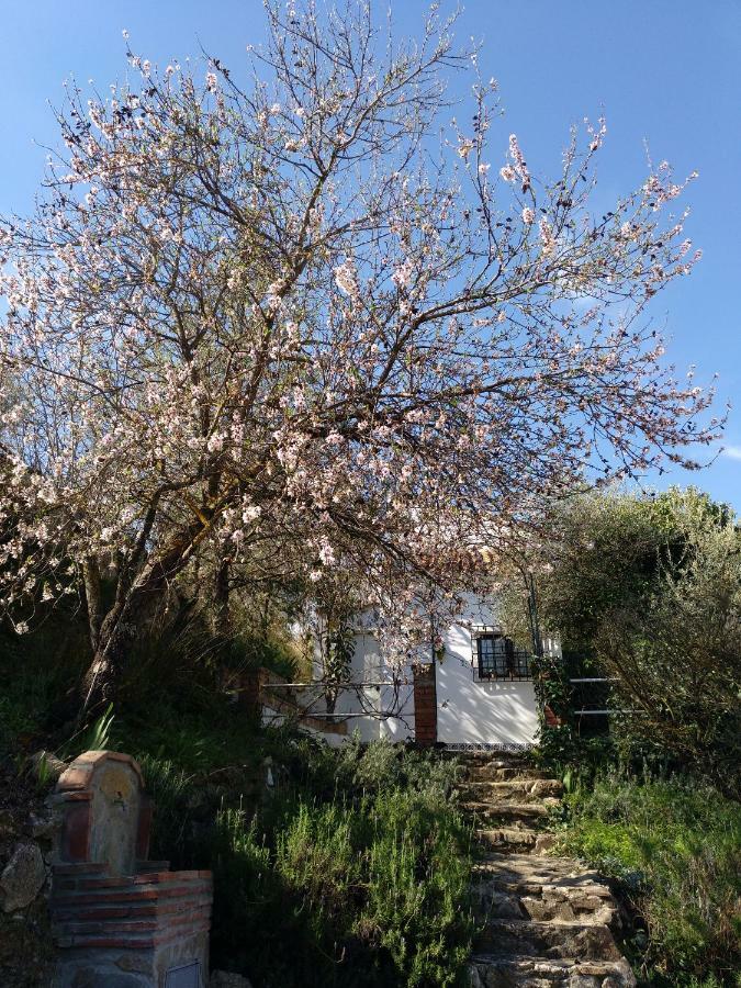 Casa La Liebrecilla Guest House Riogordo ภายนอก รูปภาพ