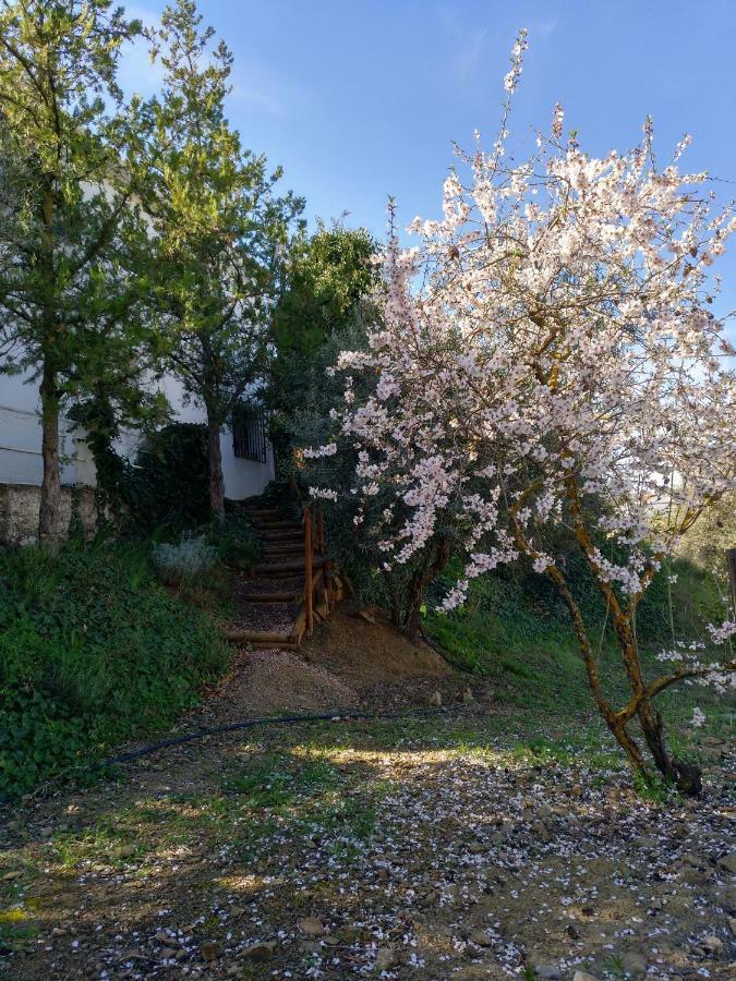 Casa La Liebrecilla Guest House Riogordo ภายนอก รูปภาพ